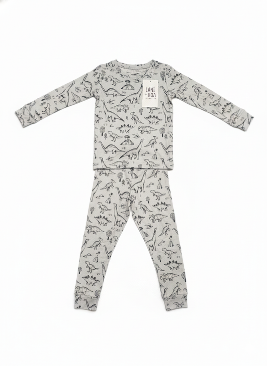 CloudSoft Bamboo Two-Piece Long Sleeved Pajama Set – Dino Daydreams