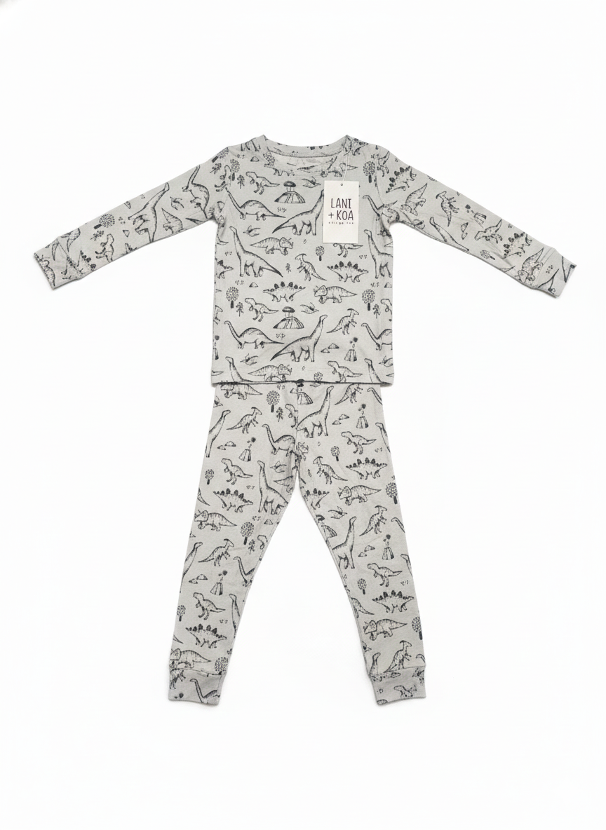 CloudSoft Bamboo Two-Piece Long Sleeved Pajama Set – Dino Daydreams